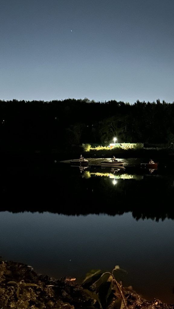 Lake at night with reflected lights