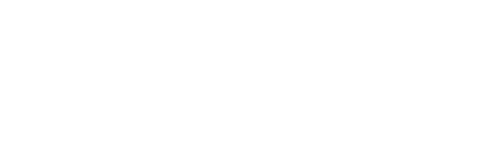 Smart Partners